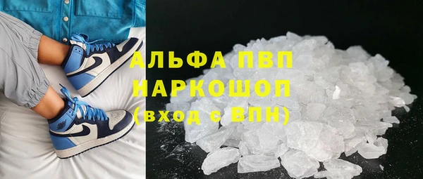 гидра Корсаков