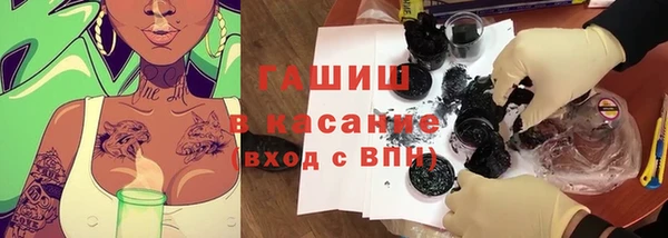 гидра Корсаков