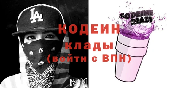 гидра Корсаков