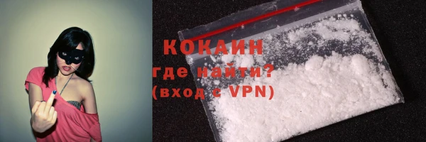гидра Корсаков
