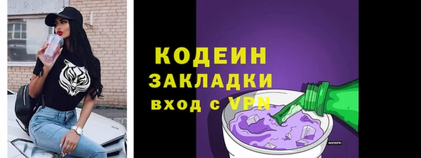 гидра Корсаков