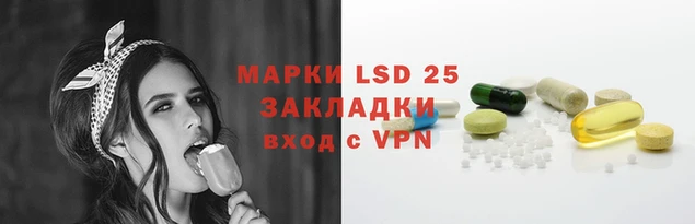 гидра Корсаков