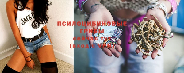 гидра Корсаков